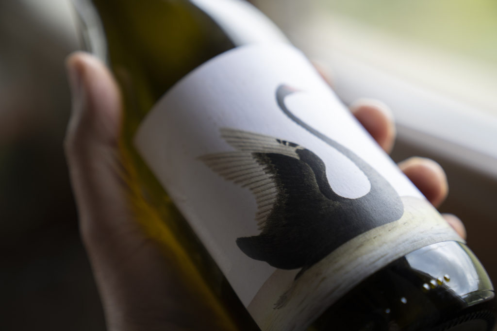 Elisa Marta Valpiani