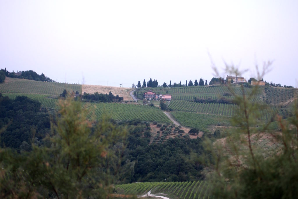 Marta Valpiani cantina winery