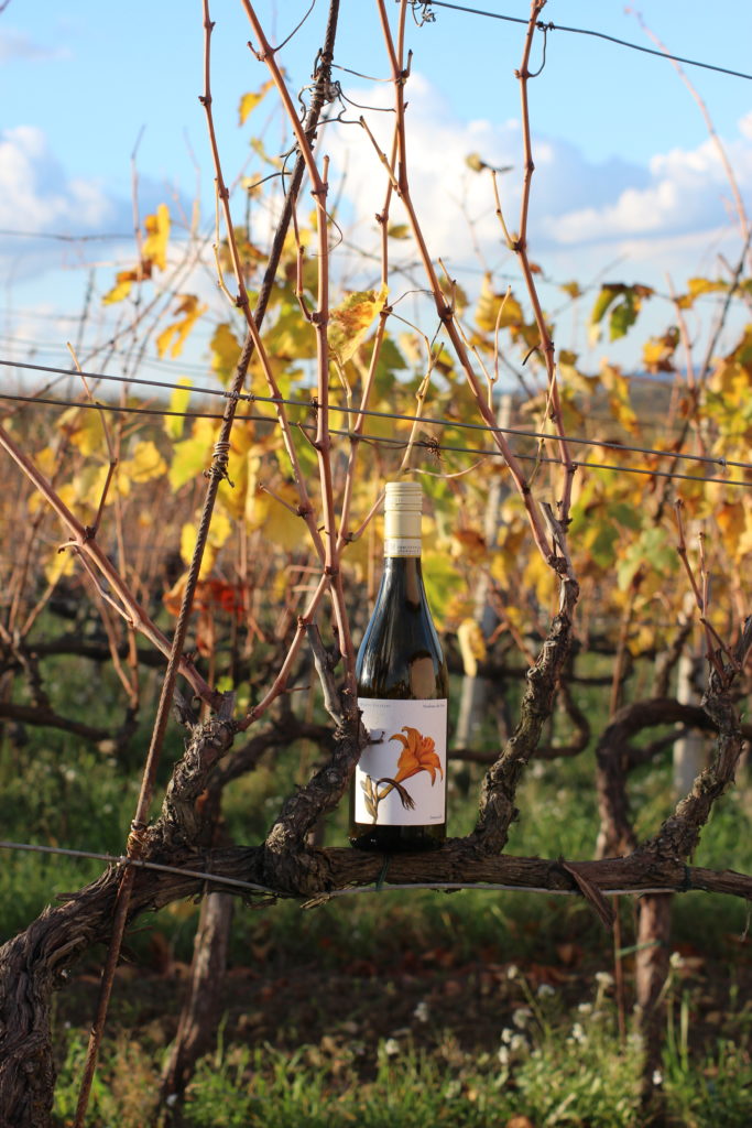 Madonna dei Fiori marta valpiani Albana