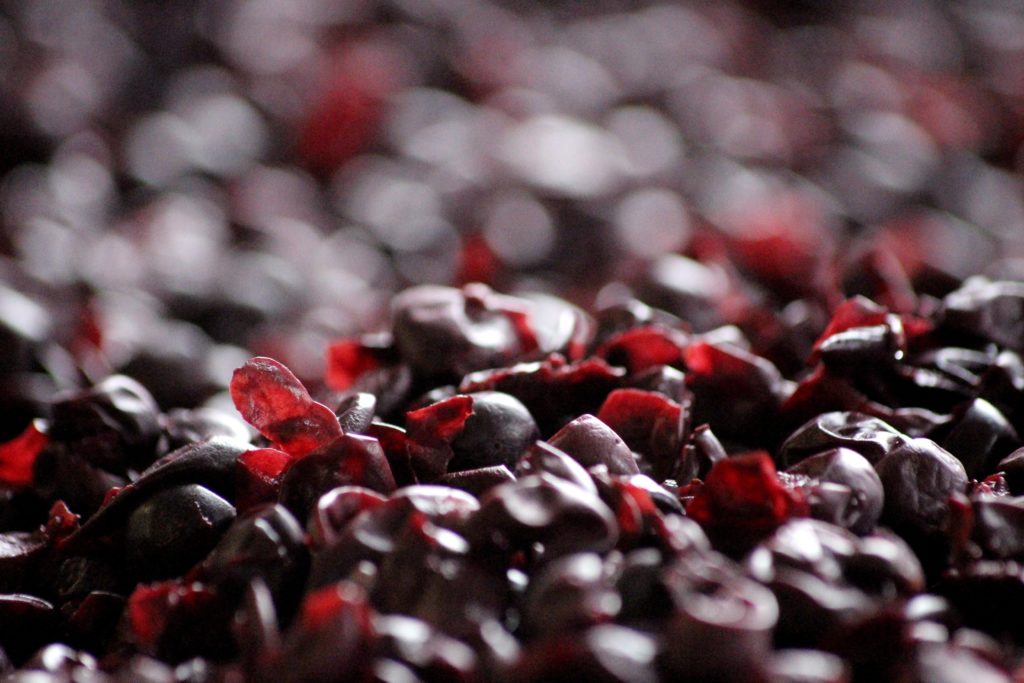 vinacce vendemmia